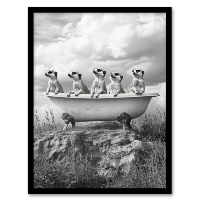 "Artery8 Meerkats in a Bathtub in Desert Black White Photo Framed Art Print in Grey - Size: W12"" x H16""" - image 1