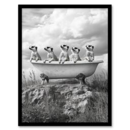 "Artery8 Meerkats in a Bathtub in Desert Black White Photo Framed Art Print in Grey - Size: W12"" x H16""" - thumbnail 1