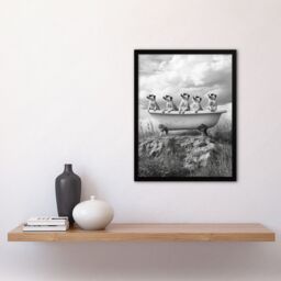 "Artery8 Meerkats in a Bathtub in Desert Black White Photo Framed Art Print in Grey - Size: W12"" x H16""" - thumbnail 4