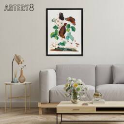 "Artery8 House Wren Butterflies Beetle & Spider Bolton Framed Canvas Wall Art - Size: W12"" x H16""" - thumbnail 3