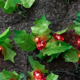 Samuel Alexander 2.8m Christmas Holly Garland with Red Berries & 40 Red LEDs - thumbnail 6