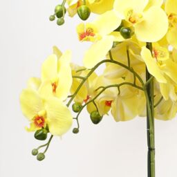 Leaf Artificial 60cm Orchid Yellow Black Ceramic Planter in Green - thumbnail 3