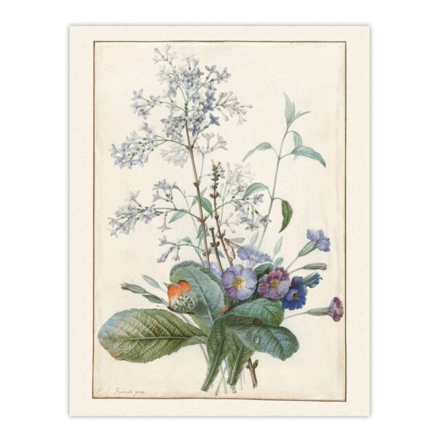 "Artery8 Bouquet of Flowers with Insects Redoute Vintage Wall Art Print Poster in White - Size: W12"" x H16""" - image 1