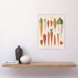 "Artery8 Carrots Vegetables Kitchen Ernst Benary Wall Art Poster Print in White - Size: W24"" x H32""" - thumbnail 4