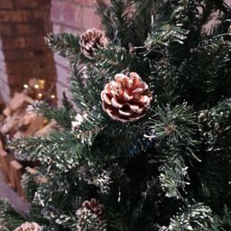 Samuel Alexander 6ft (180cm) Rocky Mountain Pine Green Artificial Christmas Tree Snow Tip & Pine Cones - thumbnail 2