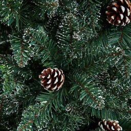 Samuel Alexander 6ft (180cm) Rocky Mountain Pine Green Artificial Christmas Tree Snow Tip & Pine Cones - thumbnail 4