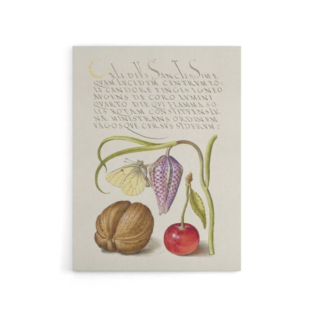 "Artery8 Snakeshead Walnut & Cherry Calligraphy Canvas Wall Art Print in White - Size: W12"" x H16""" - image 1