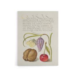 "Artery8 Snakeshead Walnut & Cherry Calligraphy Canvas Wall Art Print in White - Size: W12"" x H16""" - thumbnail 1