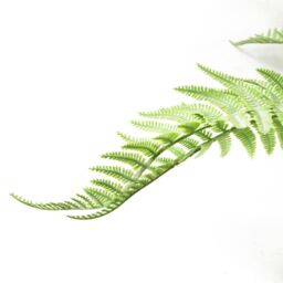 Leaf 60cm Artificial Bushy Dixie Wood Fern Light Green Plant - thumbnail 3