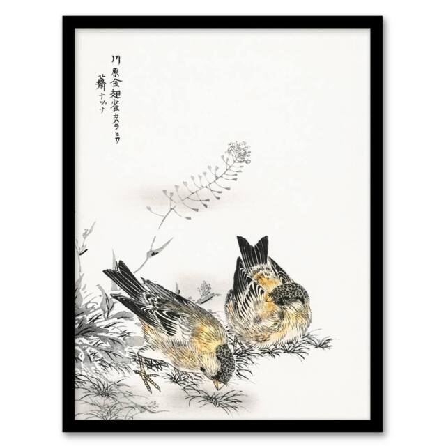 Artery8 Greenfinch & Shepherd's Purse Plant Vintage Framed Wall Art Print Kashu - Size: A4 - image 1