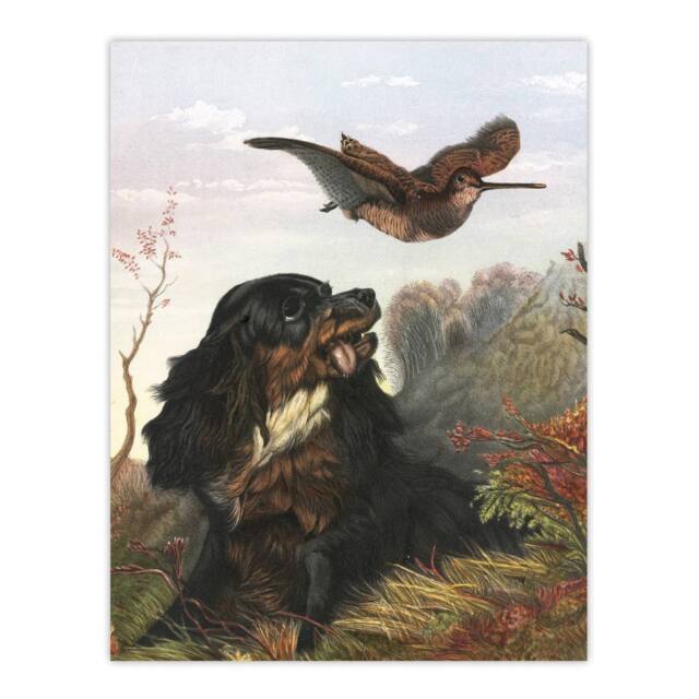 "Artery8 Cocker Spaniel Dog & Woodcock Arthur Tait Wall Art Poster Print - Size: W12"" x H16""" - image 1