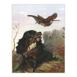 "Artery8 Cocker Spaniel Dog & Woodcock Arthur Tait Wall Art Poster Print - Size: W12"" x H16""" - thumbnail 1