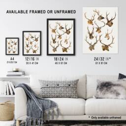 "Artery8 Vintage Illustration of Deer Species Lydekker Wall Art Poster Print in White - Size: W12"" x H16""" - thumbnail 3