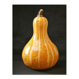"Artery8 Shiny Butternut Squash Pumpkin Photograph Wall Art Print in Orange - Size: W18"" x H24""" - thumbnail 1
