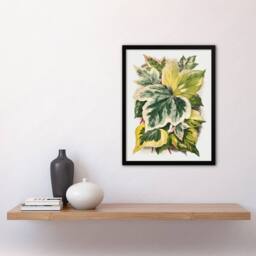 Artery8 Ivy Leaf Variations Vintage Botanical Hibberd Framed Wall Art Print in Green - Size: A4 - thumbnail 2