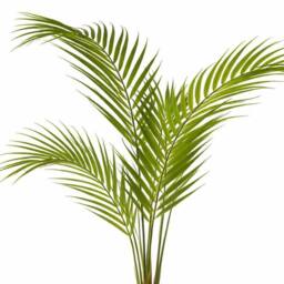 Leaf 70cm Artificial Areca Palm Tree Premium in Green - thumbnail 4