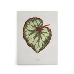 "Artery8 AF Lydon Benjamin Fawcett Begonia Rex Leaf Canvas Wall Art Print in White - Size: W12"" x H16""" - thumbnail 1