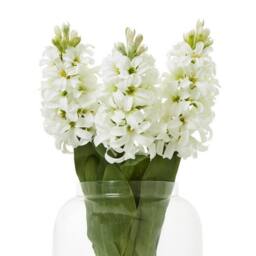 Lemon Pavilion Furniture and Decor Hyacinth (Single Stem Flower) - Plastic - Height 44 cm - White - thumbnail 3