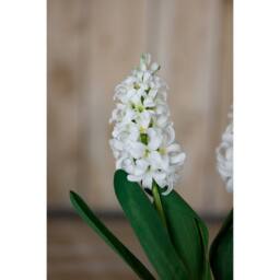 Lemon Pavilion Furniture and Decor Hyacinth (Single Stem Flower) - Plastic - Height 44 cm - White - thumbnail 5
