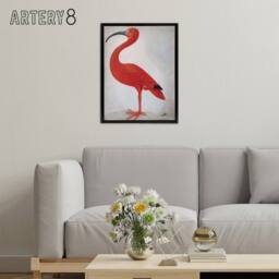 "Artery8 Merian Scarlet Ibis With Egg Nature Framed Canvas Wall Art Print in Pink - Size: W12"" x H16""" - thumbnail 3