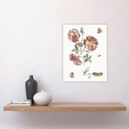 "Artery8 Rose Flowers Butterflies & a Snail Teyler Wall Art Poster Print in White - Size: W12"" x H16""" - thumbnail 4