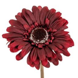 Lemon Pavilion Furniture and Decor Gerbera Stem Artificial Flower - Plastic - L11xW11xH53 cm - Burgundy - thumbnail 2