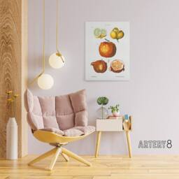 "Artery8 Citrus Fruit Illustration Redoute Vintage Canvas Wall Art in White - Size: W18"" x H24""" - thumbnail 3