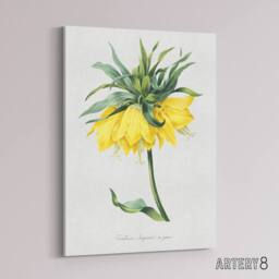 "Artery8 Yellow Crown Imperial Flower Redoute Vintage Canvas Wall Art in White - Size: W18"" x H24""" - thumbnail 2