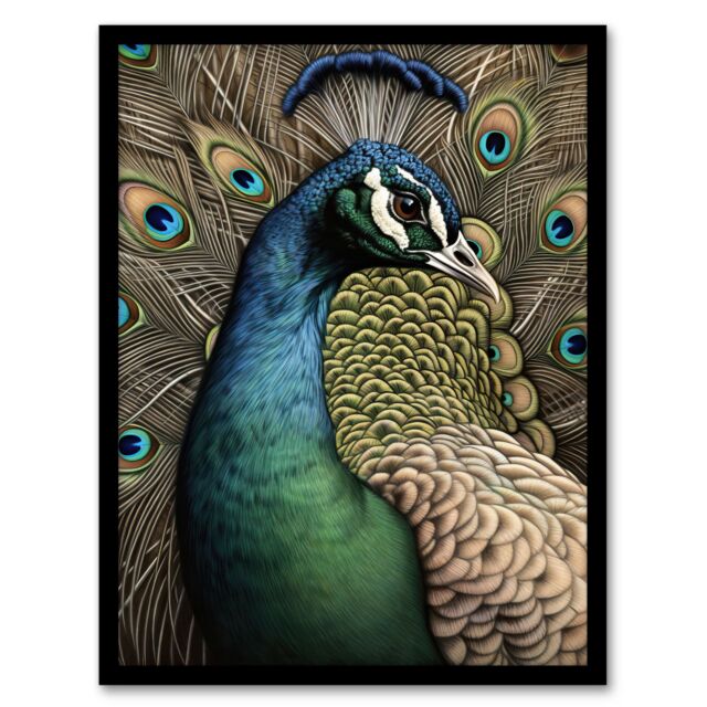 "Artery8 Curious Peacock Detailed Pen & Ink Study Turquoise Modern Art Print Framed Poster Wall Decor 12x16 inch in Black - Size: W12"" x H16""" - image 1