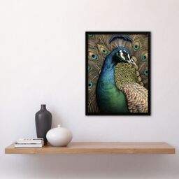 "Artery8 Curious Peacock Detailed Pen & Ink Study Turquoise Modern Art Print Framed Poster Wall Decor 12x16 inch in Black - Size: W12"" x H16""" - thumbnail 4