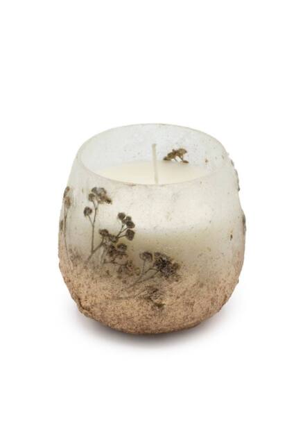 KDMD Small Glass Jar Candle Wildlight Woods With Dried Wildflowers in Brown - image 1