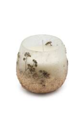 KDMD Small Glass Jar Candle Wildlight Woods With Dried Wildflowers in Brown