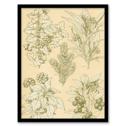 Artery8 Owen Jones Framed Wall Art Leaves From Nature No 7 Vintage Botanical in Beige - Size: A4 - thumbnail 1