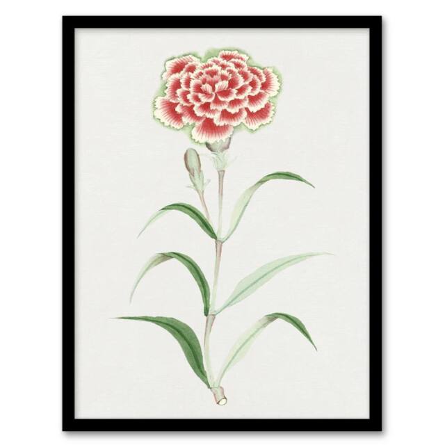 Artery8 Carnation Flower Vintage Japan Framed Wall Art Print Japanese Botanical in Blue - Size: A4 - image 1