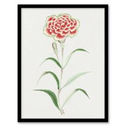 Artery8 Carnation Flower Vintage Japan Framed Wall Art Print Japanese Botanical in Blue - Size: A4 - thumbnail 1