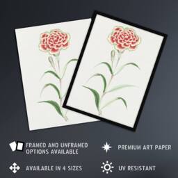Artery8 Carnation Flower Vintage Japan Framed Wall Art Print Japanese Botanical in Blue - Size: A4 - thumbnail 2
