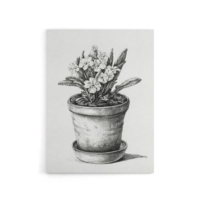 "Artery8 Potted Flowering Plant Pencil Drawing Bernard Canvas Wall Art in White - Size: W18"" x H24""" - image 1