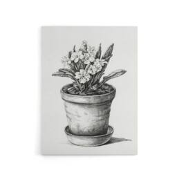 "Artery8 Potted Flowering Plant Pencil Drawing Bernard Canvas Wall Art in White - Size: W18"" x H24""" - thumbnail 1