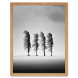 Artery8 Wall Art Print Still Holding Strong Black & White Winter Landscape Photograph Wind Blowing on a Row of Cypress Hills Art Framed - thumbnail 1