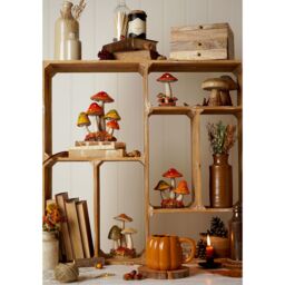 Country Living Autumn Harvest Mushroom Ornament 13.5cm - thumbnail 4