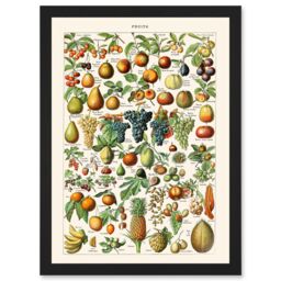 Artery8 Millot Encyclopedia vintage Fruit Grape Pineapple Nature Artwork Framed Wall Art Print A4 in Black - thumbnail 1