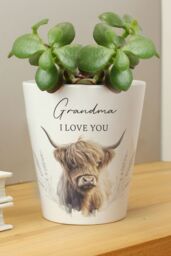 Personalised Memento Company Personalised Highland Cow Plant Pot in White - thumbnail 4