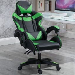 Leaper Ergonomic Swivel Computer Office Desk Chair in Green