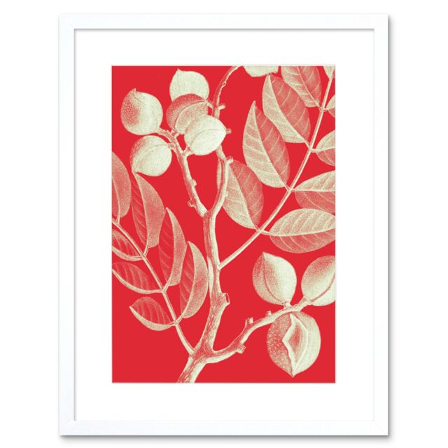 "Artery8 Wall Art Print Modern Bold Biodiversity Red Plant Artwork Framed 9X7 Inch in White - Size: W7"" x H9""" - image 1