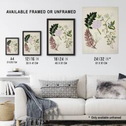 "Artery8 New Zealand Ligosticum Latifolium Flowers Featon Wall Art Poster Print in Beige - Size: W24"" x H32""" - thumbnail 3