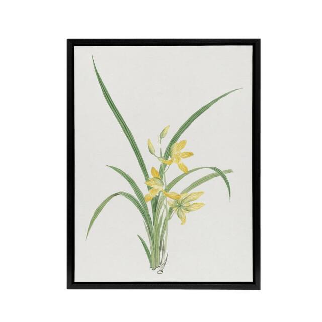 "Artery8 Yellow Lilies Framed Canvas Wall Art Print Vintage Japanese Botanical - Size: W18"" x H24""" - image 1