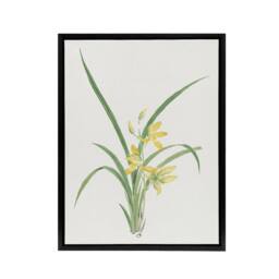 "Artery8 Yellow Lilies Framed Canvas Wall Art Print Vintage Japanese Botanical - Size: W18"" x H24""" - thumbnail 1