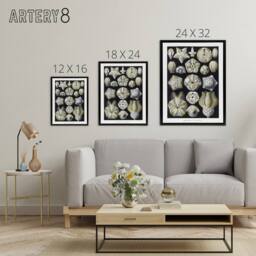 "Artery8 Blastoid Sea Buds Urchins Haeckel Botanical Black Framed Canvas Art in White - Size: W12"" x H16""" - thumbnail 4