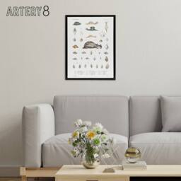 "Artery8 Snail varieties & shells Augustus Gould Framed Canvas Wall Art Print in White - Size: W12"" x H16""" - thumbnail 3