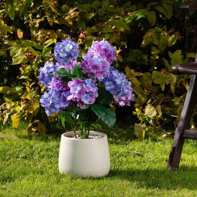 Scottish Everlastings Ltd 58cm Outdoor Pink/Purple Hydrangea Planter in Pink - image 1